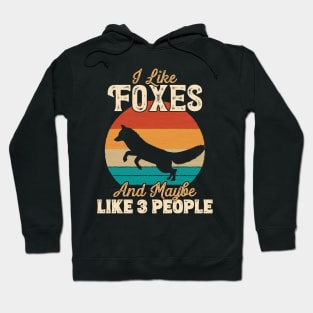 I Like Foxes and Maybe Like 3 People - Gifts for Farmers product Hoodie